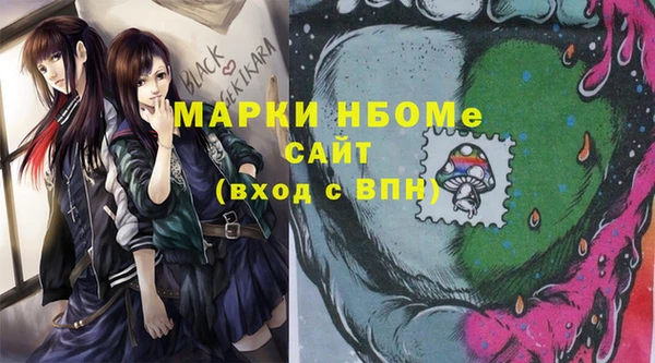 стаф Алексин