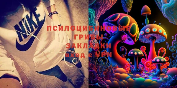 гидра Алексеевка