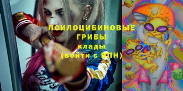 гидра Алексеевка