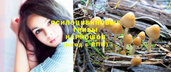 гидра Алексеевка