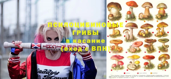 гидра Алексеевка