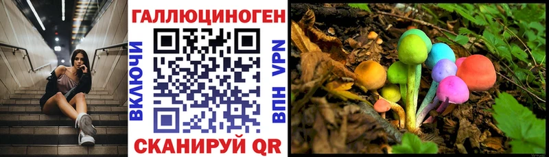 Псилоцибиновые грибы Psilocybine cubensis  Хадыженск 